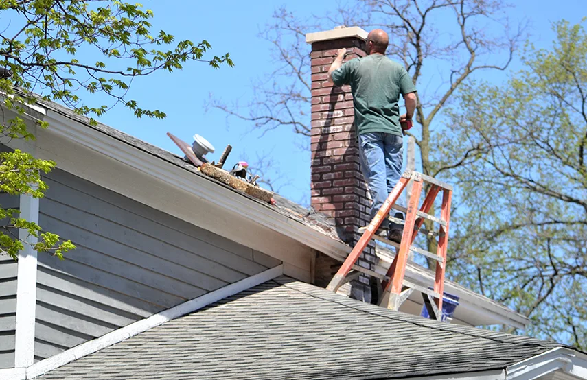 Chimney & Fireplace Inspections Services in Tucker, GA